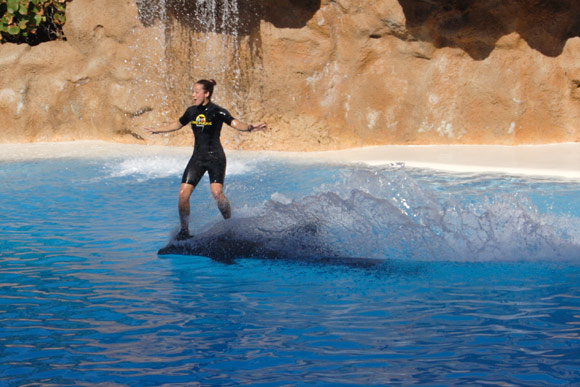 Delfinshow Delfinshow