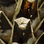 Palmebark Palmebark