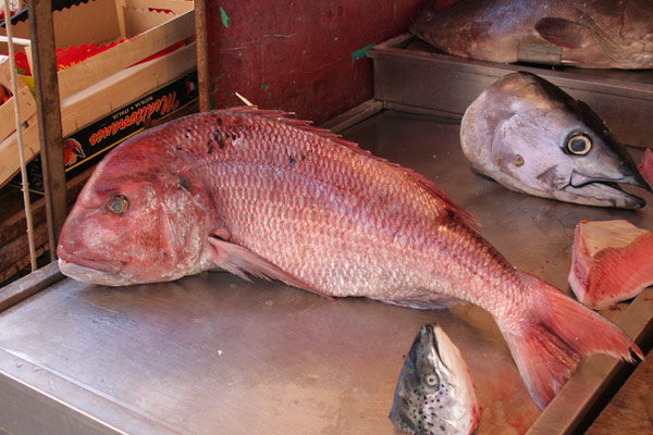 Siciliansk fisk Siciliansk fisk