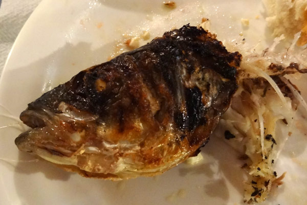 Grillet havaborre (resterne) Grillet havaborre (resterne)