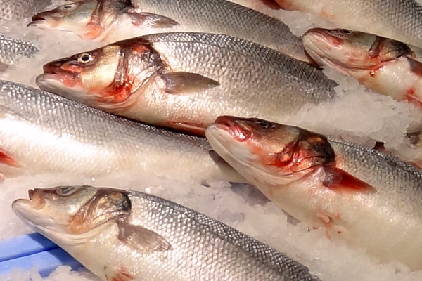 Fisk i supermarkedet Fisk i supermarkedet