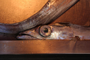 Spatola Spatola
