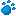 Kattepote