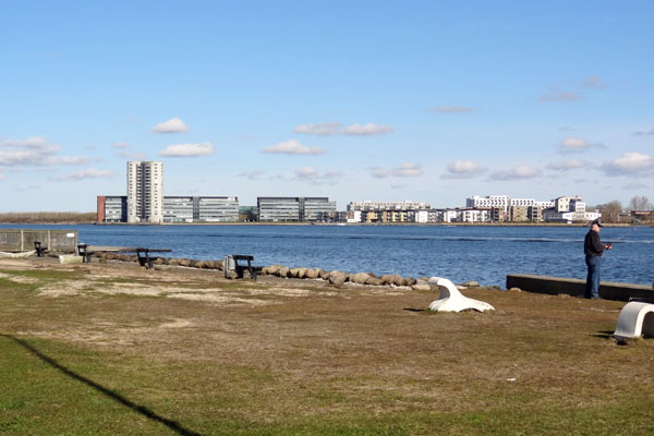Limfjorden ved roklubben Ægir Limfjorden ved roklubben Ægir