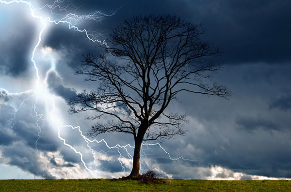 Storm Storm