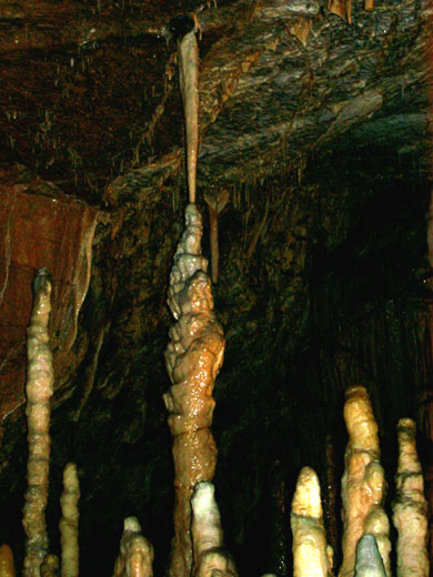 Stalagmites in the Postojna caves