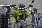 Flower decorated bicycle