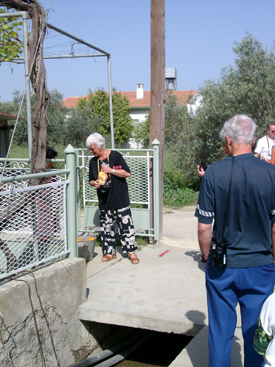 Buying freshly picked oranges in Pera.