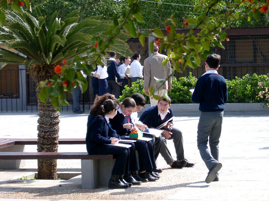 School children in Larnaca's Municipal Park