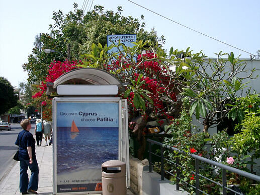 For&aring;rsblomster og reklame i Paphos