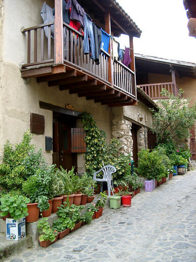 Potteplanter i Kakopetria p&aring; Cypern