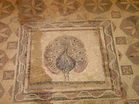 Påfugl som gulvmosaik i det antikke Paphos