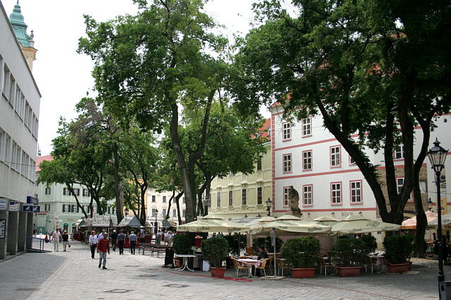 Fortovscafer i Bratislavas gamle by