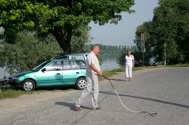 Hungarian whip