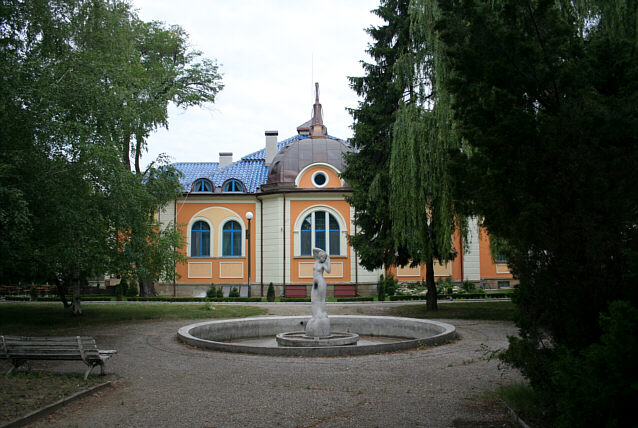 House with blue tiles in Vidin