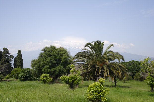 Ark&aelig;ologisk park i Naxos