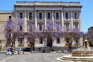 Bl&aring; tr&aelig;er i Catania
