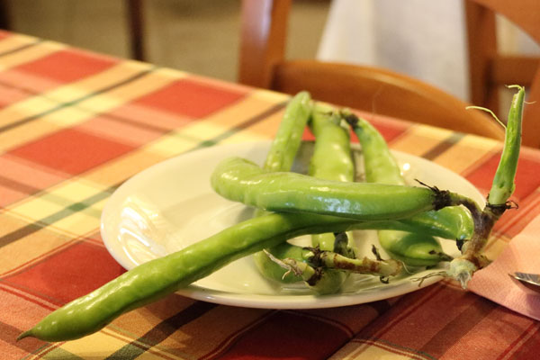 Sicilianske favab�nner