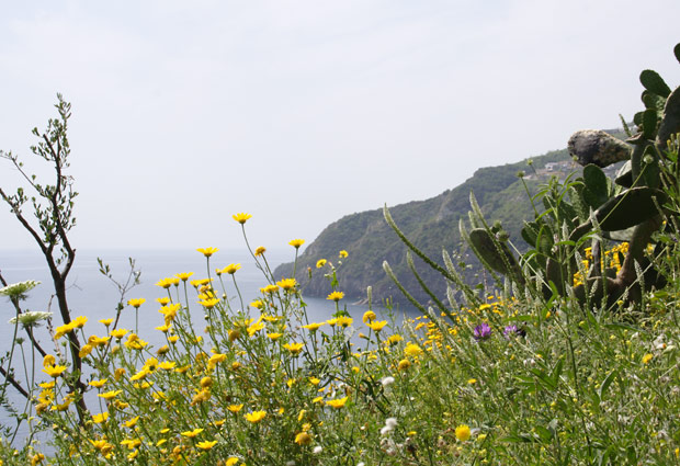 Flowers and view from Castello Aragonese