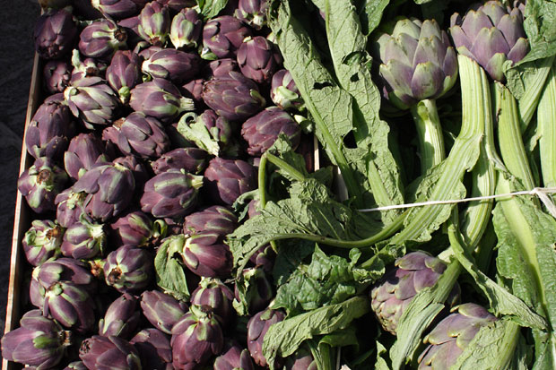 Artichokes