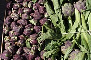 Artichokes