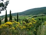 Chianti landscape