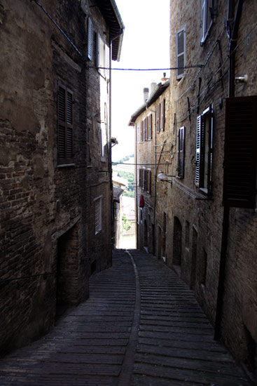 Street in Urbino
