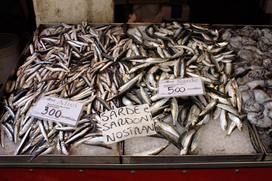 Sardines at the Rialto fish market
