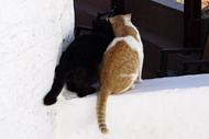 Best friends