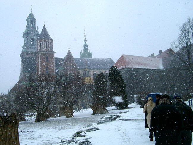 Katedralen i Krakow i snevejr