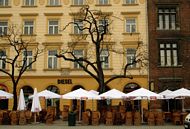 Fortovscaf� med n&oslash;gne tr&aelig;er