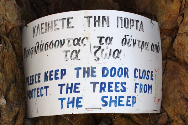 Close the door to protect the trees from sheep!