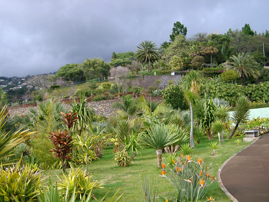 From Botanical Garden in Funchal.