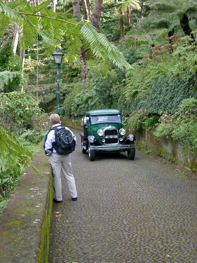 From Monte in Madeira.