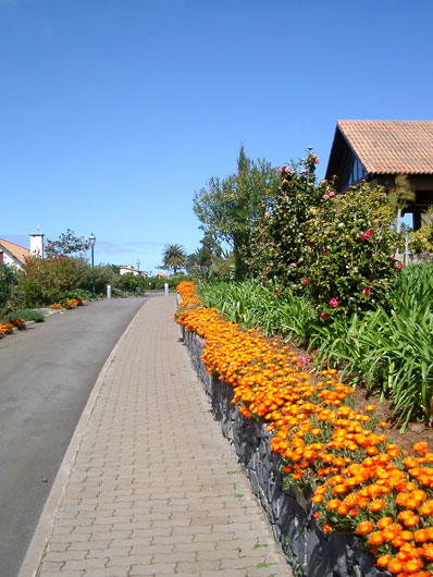 Street with flowers near Santana in Madeira.