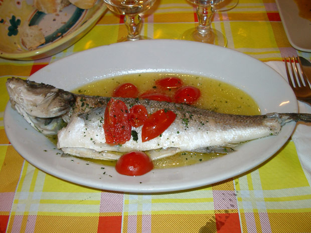 Seabass - spigola