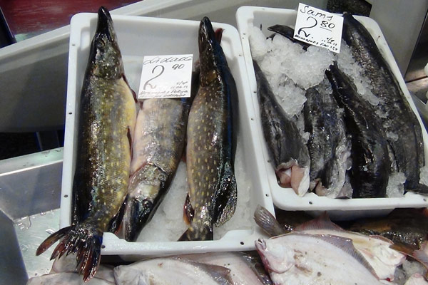 Gedder p&aring; markedet i Riga