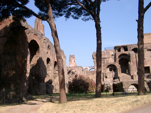 Ruins on Palatine Hill in Rome