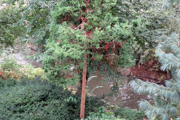 Udsigt fra altanen til S&aelig;by &Aring;