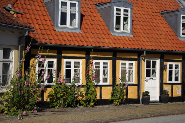 Stokroseidyl i S�by
