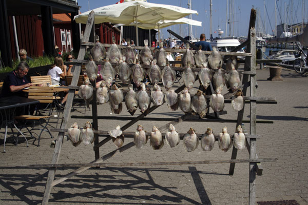 Fisk p� t�rrestativ