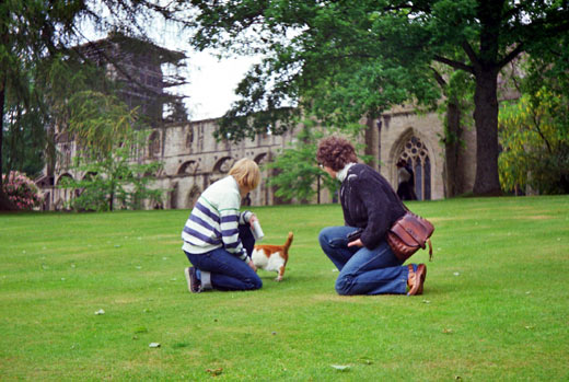 I parken ved Dunkeld Cathedral