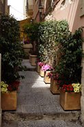 Blomsterkummer i Siracusa