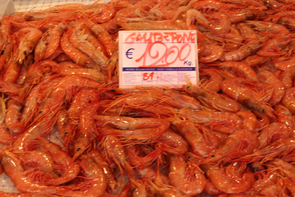 Rejer p� markedet