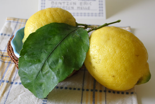 Sicilianske citroner