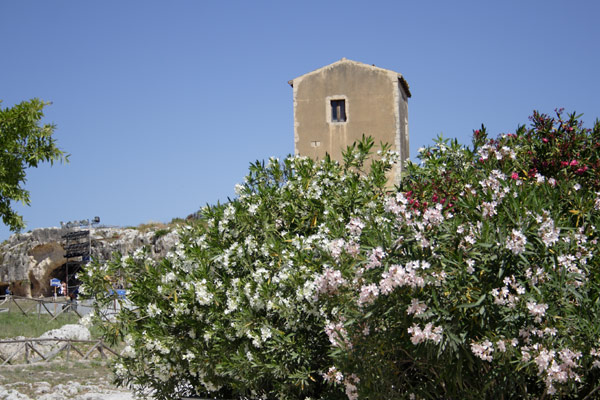 Blomster i den ark&aelig;ologiske park