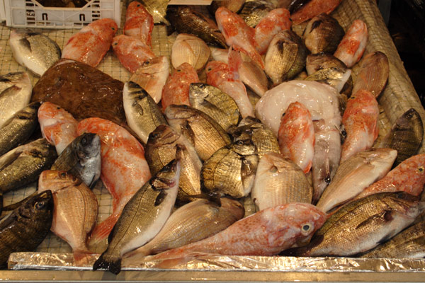 Fisk p� markedet i Siracusa