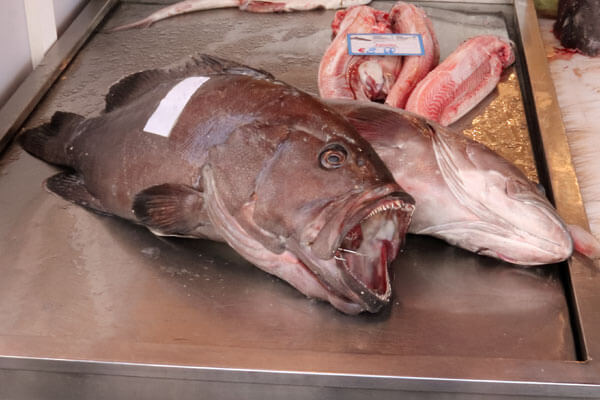 �benmundet siciliansk fisk