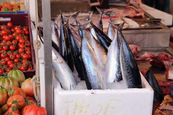 Makreller, der holder hovedet koldt
