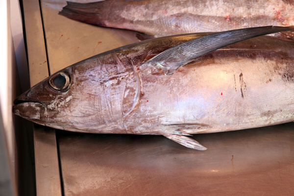 Tun p� siciliansk marked